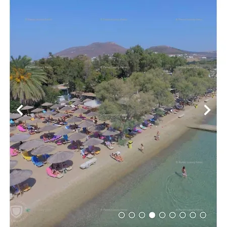 Apartment Livadia Seaside 10 *